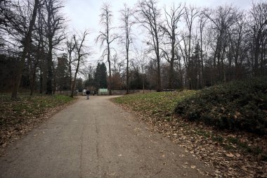 Sonbaharda parktaki bir duvara giden çakıl yolu.