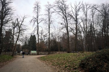 Sonbaharda parktaki bir duvara giden çakıl yolu.