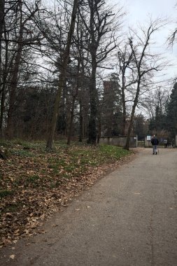 Sonbaharda parktaki bir duvara giden çakıl yolu.