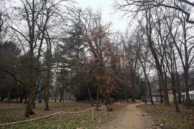 Sonbaharda bir parkta kenarında banklar olan toprak patika.