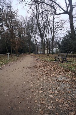 Sonbaharda bir parkta kenarında banklar olan toprak patika.