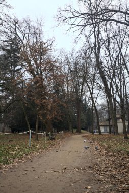 Sonbaharda bir parkta kenarında banklar olan toprak patika.