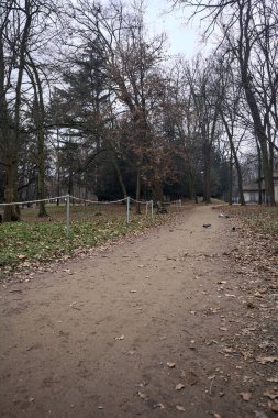 Sonbaharda bir parkta kenarında banklar olan toprak patika.