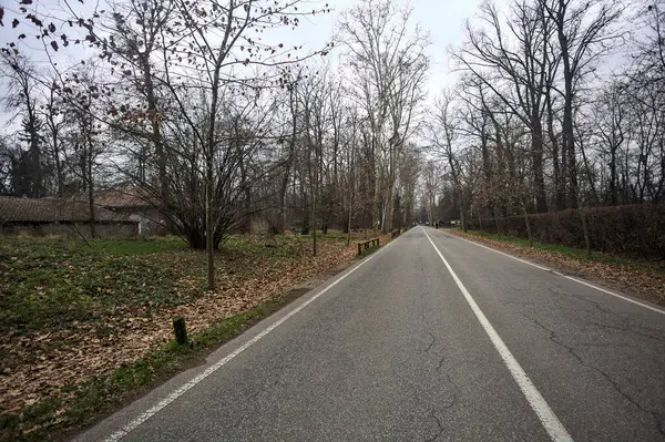 Sonbaharda bir parkın ortasında yol