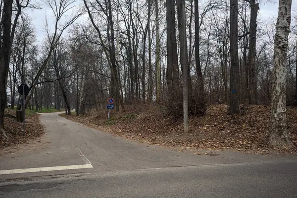 Sonbaharda bulutlu bir günde parkta yol ayrımı