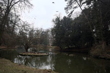 Sonbaharda bulutlu bir günde suya düşen ağaçların yansımalarıyla dolu bir parkta gölet.