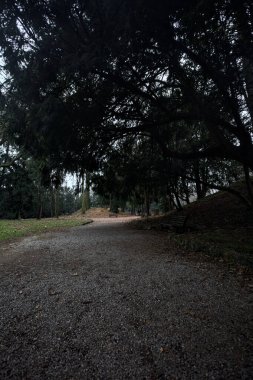 Sonbaharda bulutlu bir günde parkta kemer ağacının altından geçen bir göletin yanındaki patika.