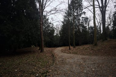 Sonbaharda bulutlu bir günde parkta bir yamacın kenarında yol