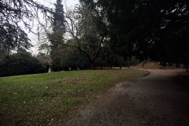 Sonbaharda bulutlu bir günde parkta kemer ağacının altından geçen bir göletin yanındaki patika.