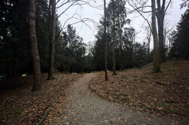 Sonbaharda bulutlu bir günde parkta bir yamacın kenarında yol