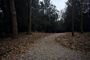 Sonbaharda bulutlu bir günde parkta bir yamacın kenarında yol