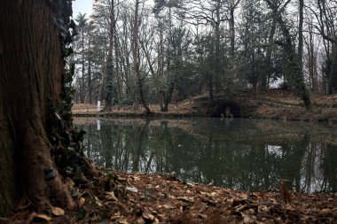 Sonbaharda bulutlu bir günde suya düşen ağaçların yansımalarıyla dolu bir parkta gölet.