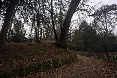 Sonbaharda parktaki bir gölete giden bir tırabzanla çevrili patika.