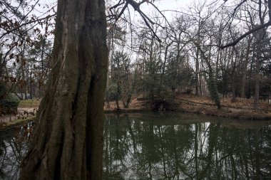 Sonbaharda bulutlu bir günde suya düşen ağaçların yansımalarıyla dolu bir parkta gölet.