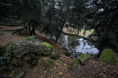 Sonbaharda bir parkta küçük bir şelalenin dibinde.