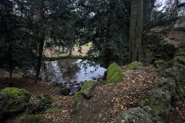 Sonbaharda bir parkta küçük bir şelalenin dibinde.
