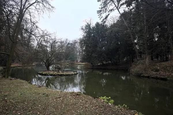 Sonbaharda bulutlu bir günde suya düşen ağaçların yansımalarıyla dolu bir parkta gölet.