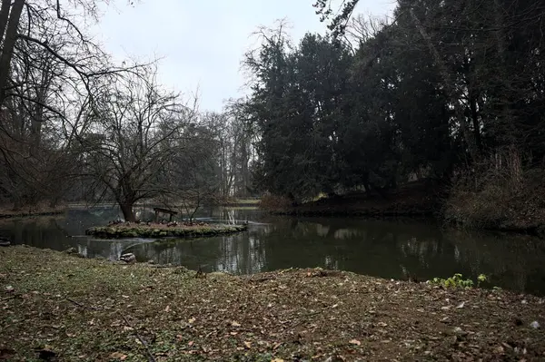 Sonbaharda bulutlu bir günde suya düşen ağaçların yansımalarıyla dolu bir parkta gölet.