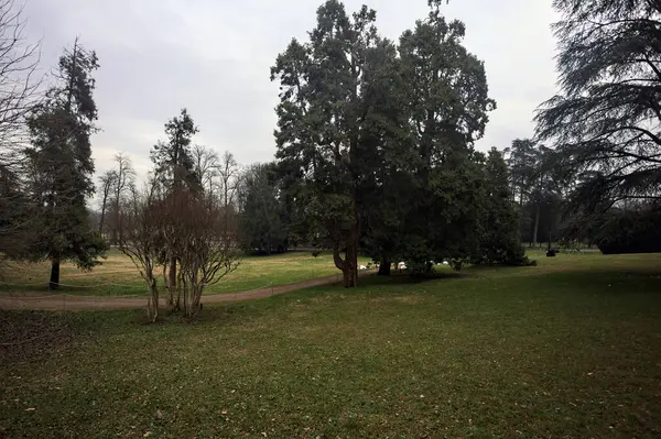 Lawn with trees and a path in it in a park on a cloudy day in autumn