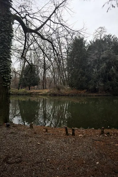 Sonbaharda bulutlu bir günde suya düşen ağaçların yansımalarıyla dolu bir parkta gölet.