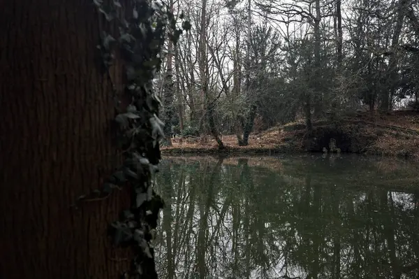 Sonbaharda bulutlu bir günde suya düşen ağaçların yansımalarıyla dolu bir parkta gölet.
