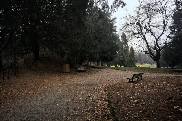 Bench at the crossroads between paths in a park