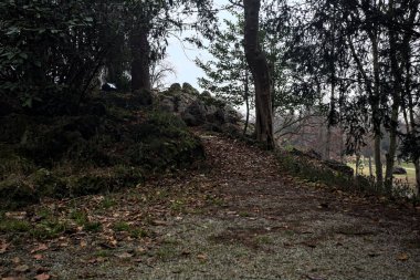 Sonbaharda bulutlu bir günde ağaçların altındaki gölgede toprak yol.