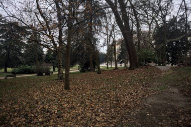 Sonbaharda bulutlu bir günde parktaki yolun sonundaki malikane.