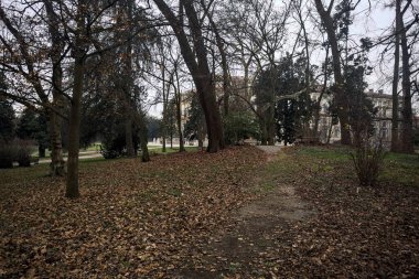 Sonbaharda bulutlu bir günde parktaki yolun sonundaki malikane.