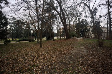 Sonbaharda bulutlu bir günde parktaki yolun sonundaki malikane.