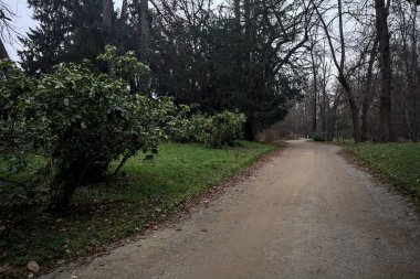 Sonbaharda bulutlu bir günde parkta çakıl yolu