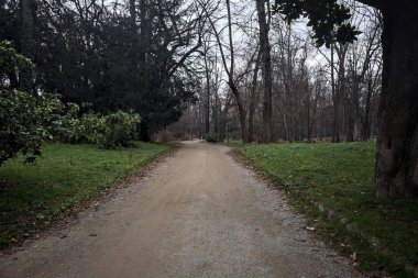 Sonbaharda bulutlu bir günde parkta çakıl yolu