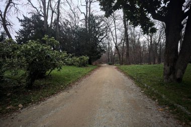 Sonbaharda bulutlu bir günde parkta çakıl yolu