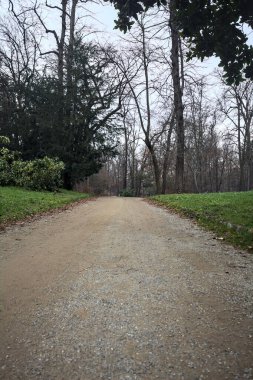 Sonbaharda bulutlu bir günde parkta çakıl yolu