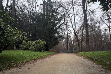 Sonbaharda bulutlu bir günde parkta çakıl yolu