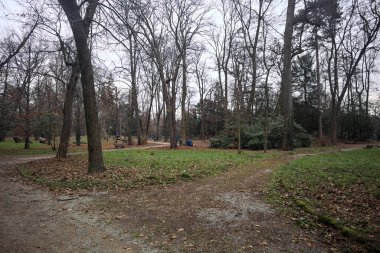 Sonbaharda bir parkın ortasında çakıl yolları arasındaki kavşak.