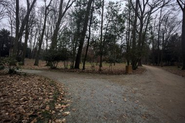 Sonbaharda bir parkın ortasında çakıl yolları arasındaki kavşak.