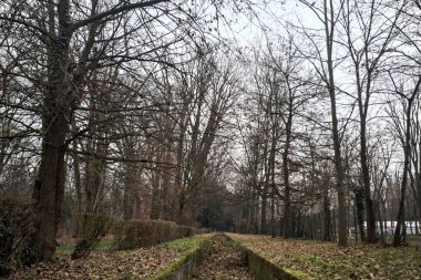 Sonbaharda bir parktaki duvarın yanındaki hendek yapraklarla dolu.