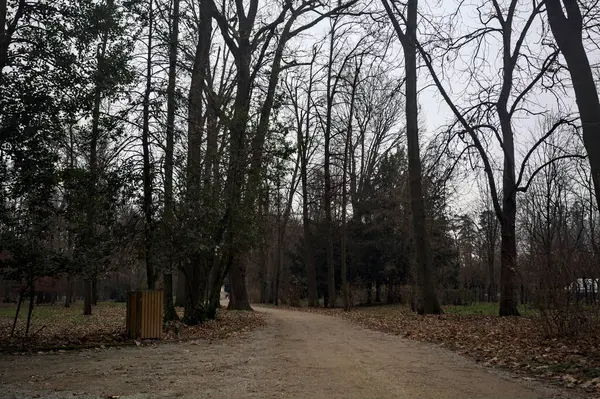 Sonbaharda bir parkın ortasında çakıl yolları arasındaki kavşak.