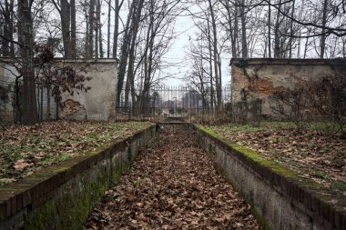 Sonbaharda bir parktaki duvarın yanındaki hendek yapraklarla dolu.