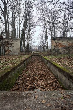 Sonbaharda bir parktaki duvarın yanındaki hendek yapraklarla dolu.