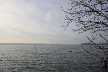 Ağaç dallarıyla çevrili bulutlu ve rüzgarlı bir günde