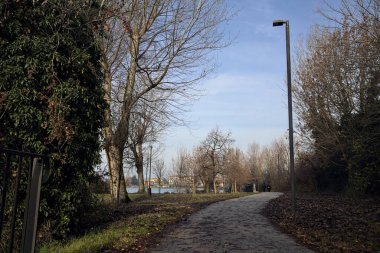 Göl kıyısındaki bir parkta sokak lambası olan patika.