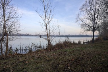 Bulutlu bir günde çıplak ağaçların çerçevelediği göl kıyısındaki bir parkta çimenlik.