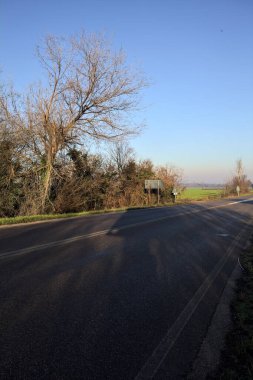 Çıplak ağaçlarla çevrili köy yolu