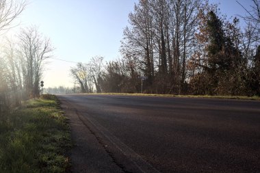 Çıplak ağaçlarla çevrili köy yolu