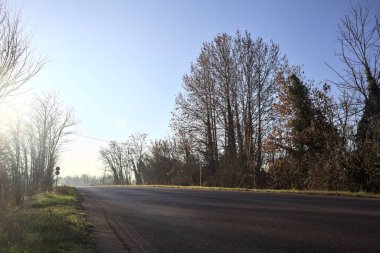 Çıplak ağaçlarla çevrili köy yolu