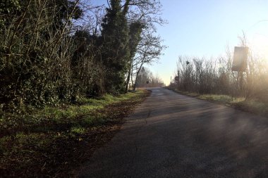 Kırsaldaki bir parkta Paved Yolu