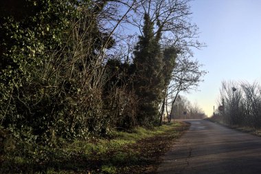 Kırsaldaki bir parkta Paved Yolu