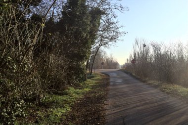 Kırsaldaki bir parkta Paved Yolu